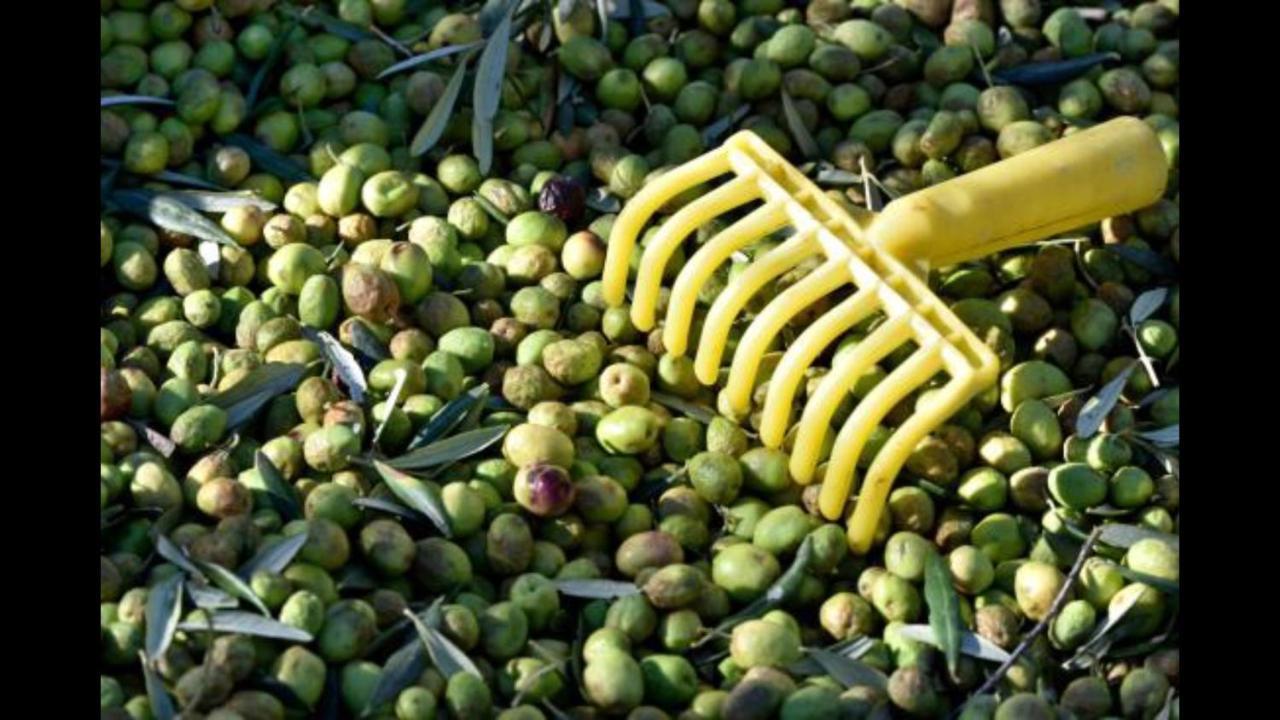 Hebergements Des Posas Sampzon Exteriér fotografie